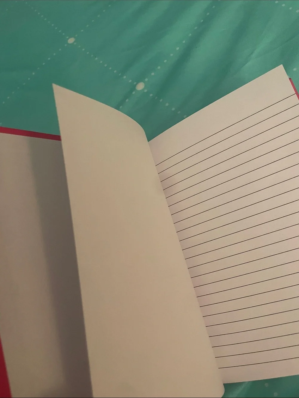 Journal Standard vibrant pink